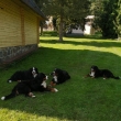 setk�n� s rodinou mamkou, sestrou a nepokrevn� babi�kou