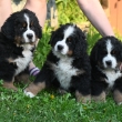 Cory+Ciarra+C�zar
